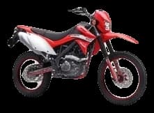 Rock 250