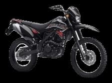 Trail 250 Pro